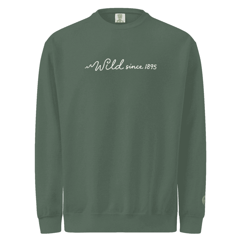 Wild since 1895 Wildwood NJ garment-dyed sweatshirt in Blue Spruce
